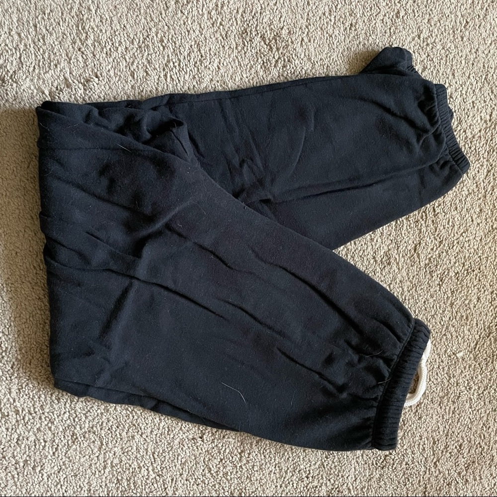 Aerie Sweatpants (Short)